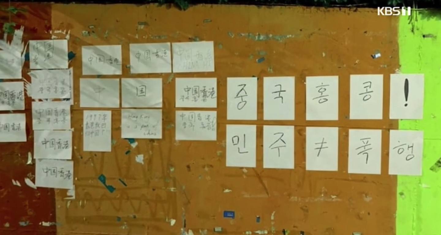 韩国学生挺香港，中国留学生怒吼：我交学费比你多（组图） - 10