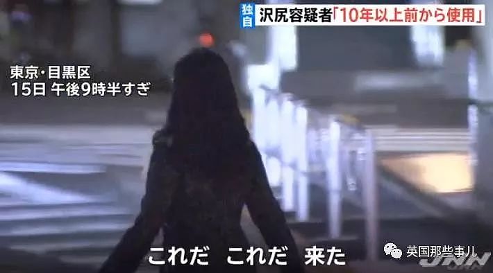 日本女星泽尻英龙华承认吸毒超十年：“别人被抓，我也会感到危险”（组图） - 4