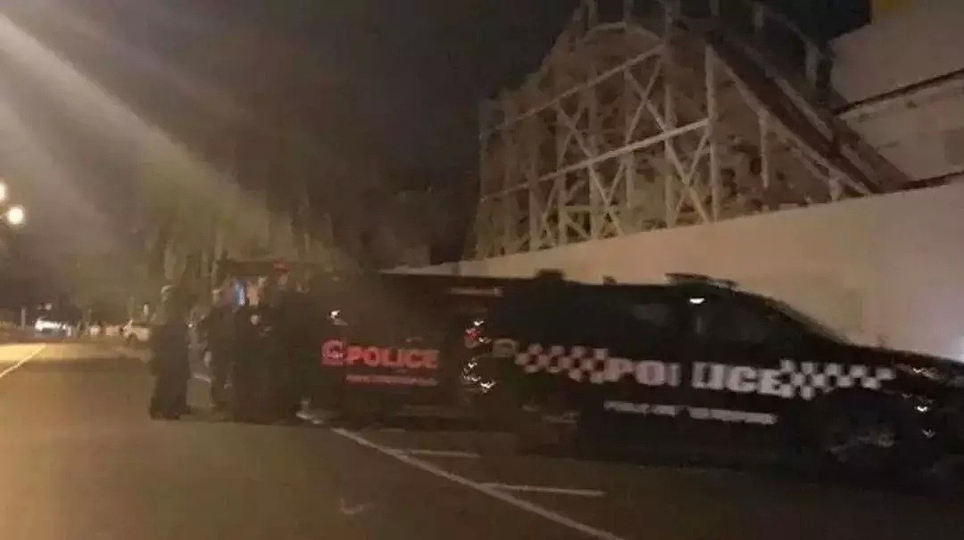 这次是Box Hill！80名非裔在墨尔本街头大打群架！警方出动直升机，团团包围现场！居民吓傻，但最后仅1人被捕… - 16