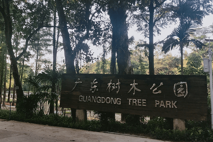 中国最“灵性”的树，脾气暴躁、不喜生人，游客一靠近就自爆（组图） - 1
