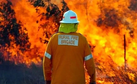 浓烟滚滚！布里斯班南区Runcorn燃起树林大火，毗邻民宅，吞噬大片树林，数辆消防车紧急支援 - 3