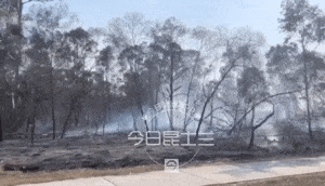 浓烟滚滚！布里斯班南区Runcorn燃起树林大火，毗邻民宅，吞噬大片树林，数辆消防车紧急支援 - 13