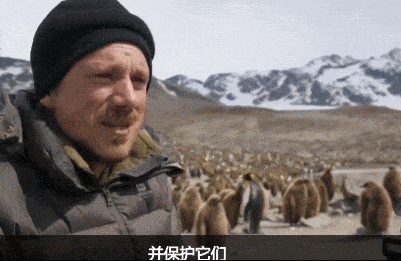 BBC摄影师在南极痛哭：我们的地球为何变得如此满目疮痍？（组图） - 2