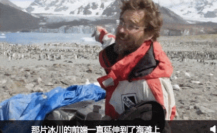 BBC摄影师在南极痛哭：我们的地球为何变得如此满目疮痍？（组图） - 4