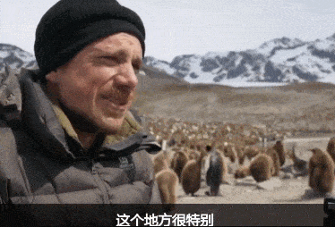 BBC摄影师在南极痛哭：我们的地球为何变得如此满目疮痍？（组图） - 6