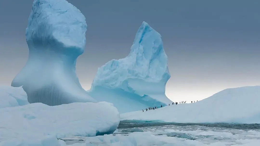 BBC摄影师在南极痛哭：我们的地球为何变得如此满目疮痍？（组图） - 7