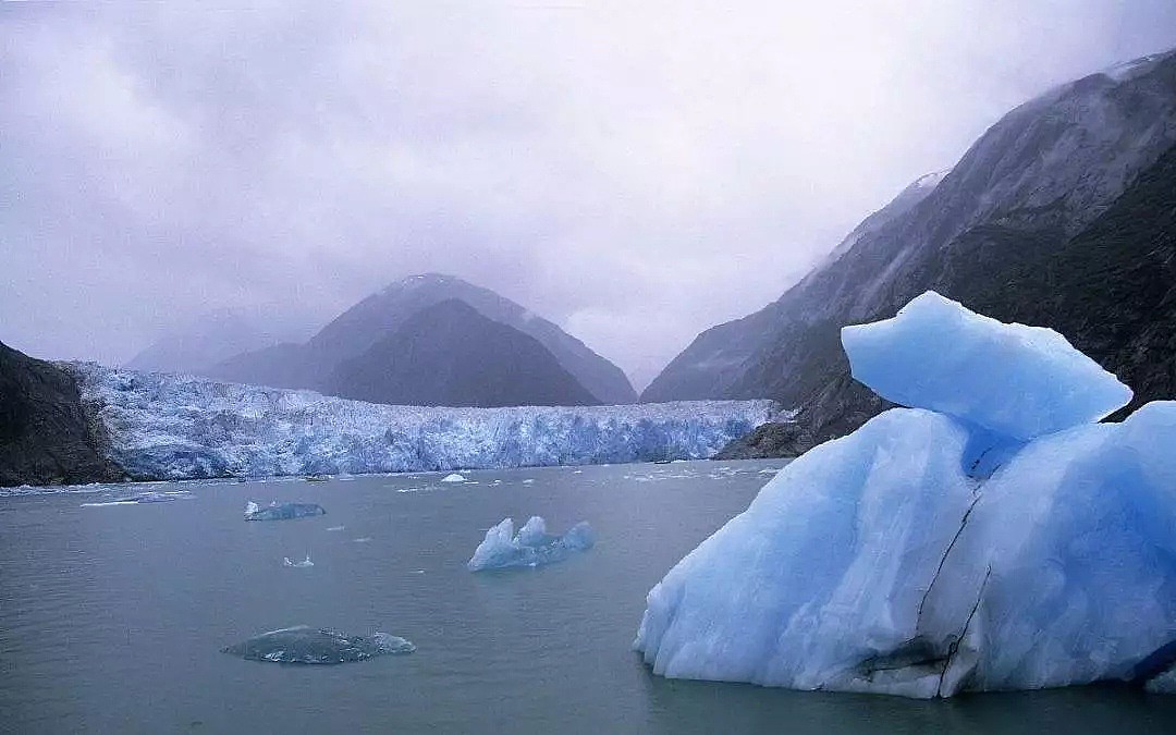 BBC摄影师在南极痛哭：我们的地球为何变得如此满目疮痍？（组图） - 31