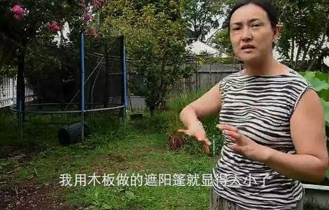 中国亿万富翁在悉尼花5500万买豪宅，之后居然在家附近干这事，直接被告上法庭！华人注意，这些错误你也可能会犯！ - 24