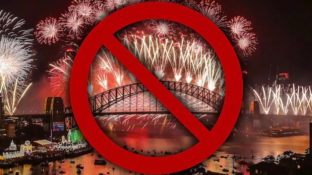 2020跨年烟火或将取消？4万悉尼人联名请愿！“我们今年不看烟花！”原因竟是... - 6