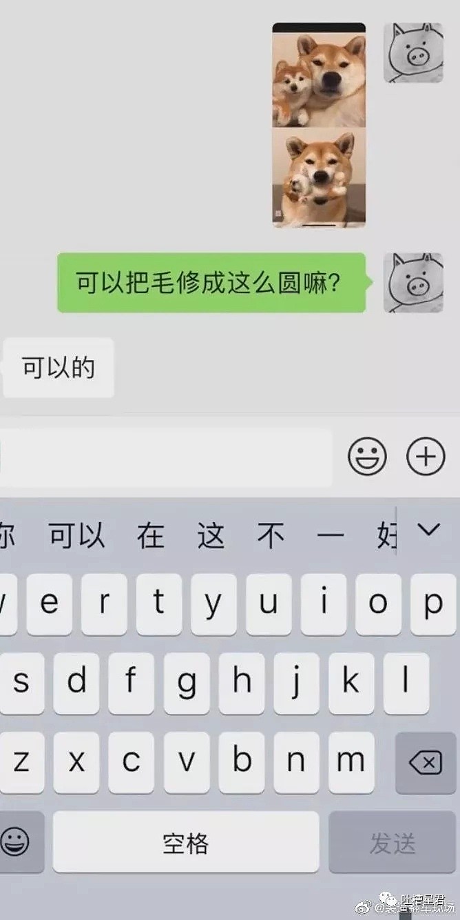 【爆笑】“在吗？可以做我男朋友吗？”鼓起勇气跟男神表白，他却让我...哈哈哈令人窒息！（组图） - 34