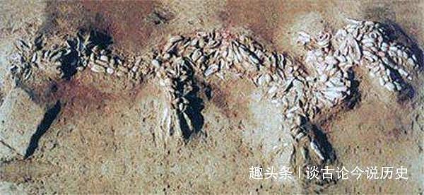 辽太祖射死一条真龙？考古发现六千年前古墓，可能真的有龙
