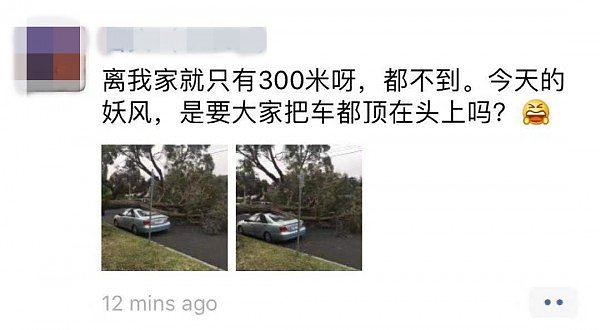 华人爆料：墨尔本妖风刮断大树砸坏车！2小时气温骤降近20度，城区大停电！（组图） - 4