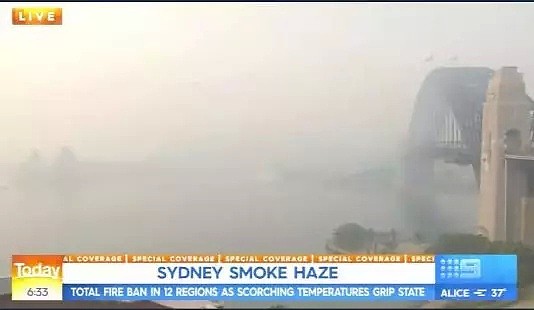 小心空气“有毒”！悉尼又被“烟没”，50多人呼吸困难紧急治疗！然而这一切只是灾难的冰山一角....（组图） - 15