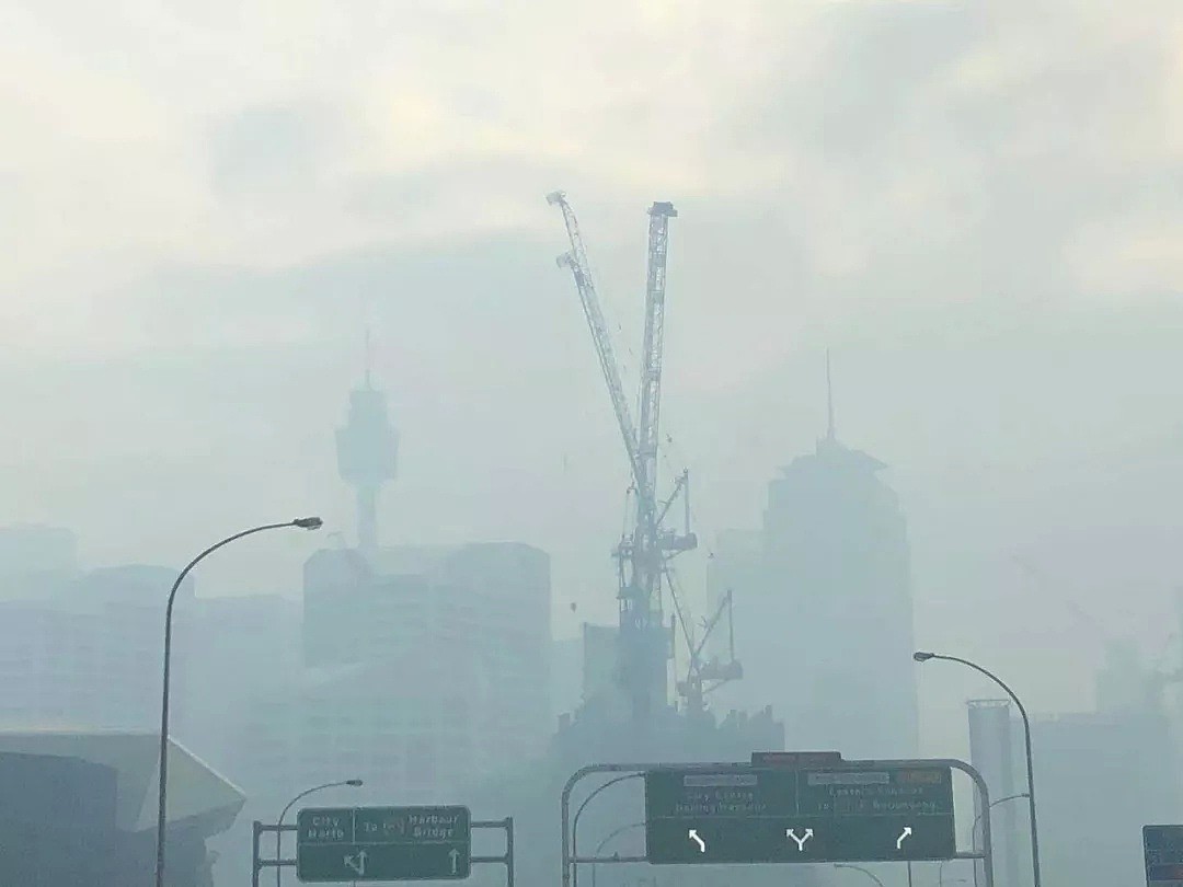 小心空气“有毒”！悉尼又被“烟没”，50多人呼吸困难紧急治疗！然而这一切只是灾难的冰山一角....（组图） - 17