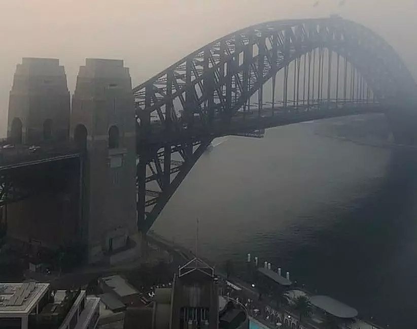 小心空气“有毒”！悉尼又被“烟没”，50多人呼吸困难紧急治疗！然而这一切只是灾难的冰山一角....（组图） - 18
