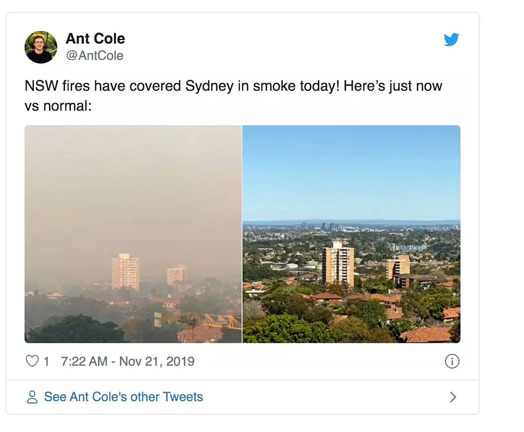 小心空气“有毒”！悉尼又被“烟没”，50多人呼吸困难紧急治疗！然而这一切只是灾难的冰山一角....（组图） - 37
