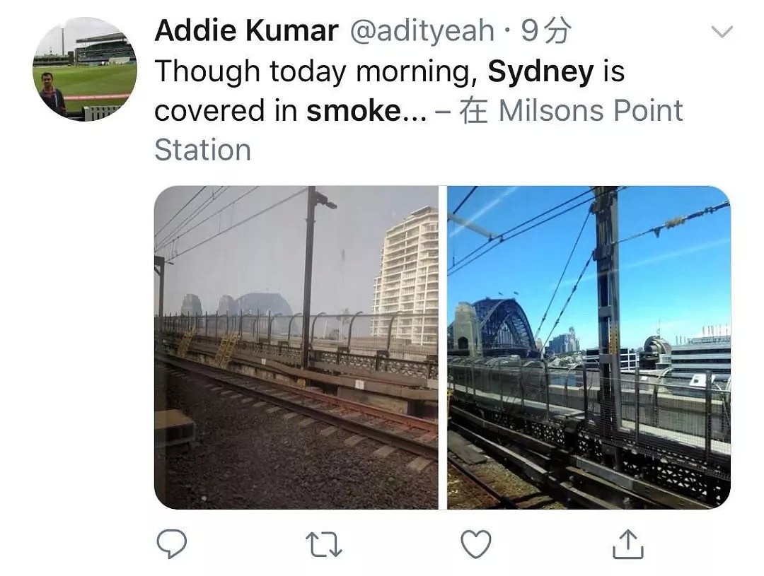 小心空气“有毒”！悉尼又被“烟没”，50多人呼吸困难紧急治疗！然而这一切只是灾难的冰山一角....（组图） - 45