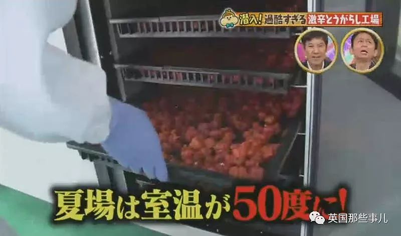 一公斤卖18万的魔鬼辣椒粉，生产过程大概只有受虐狂能扛住
