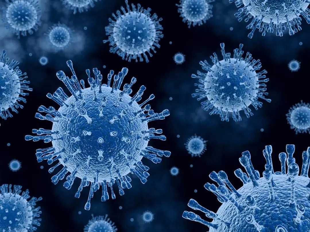 最新消息！澳大利亚科学家设计出新型病毒！对人体无害还可以杀死所有已知癌细胞！（组图） - 3