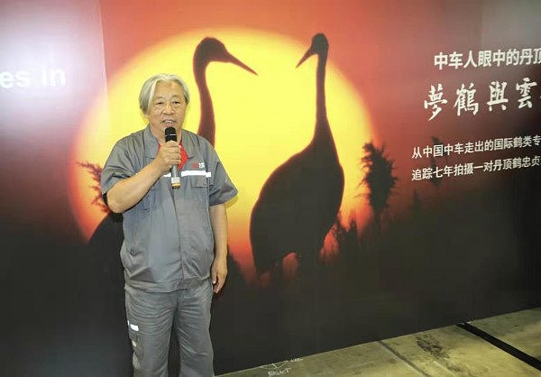 用影像演绎丹顶鹤千古绝唱  ”中车”《梦鹤与云鹤》摄影展 - 2