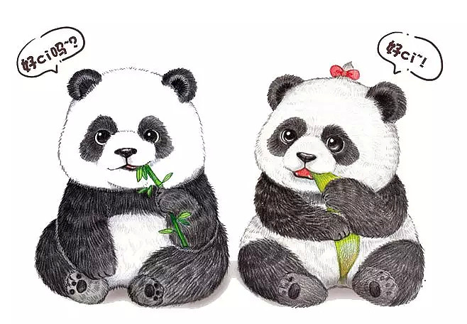 求你别走！澳洲两只熊猫网网、福妮租约到期，为了留下大熊猫，澳洲人竟想让福妮生孩子！ - 2