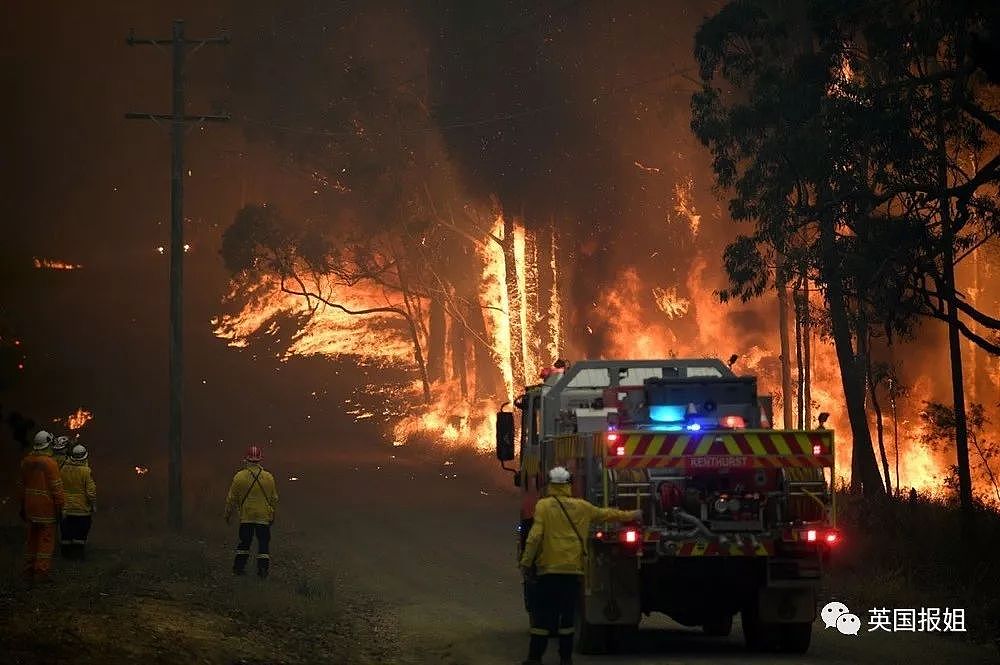 考拉被活活烧死，悉尼被烟包围，澳洲灾难大火仅仅是开始？（组图） - 23