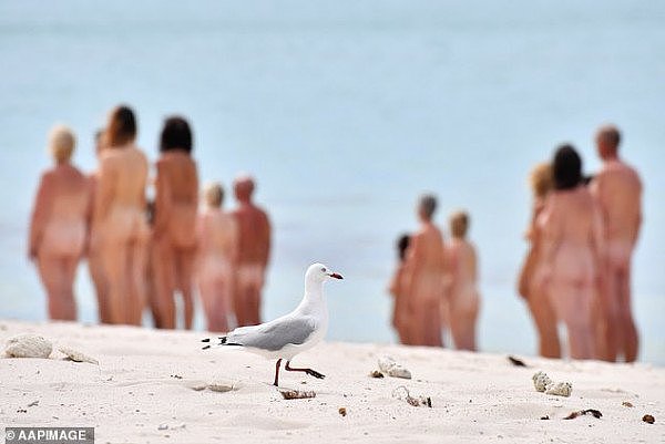 澳洲知名景点惊现大量裸男裸女！参与者：为气候变化而脱（视频/组图） - 4