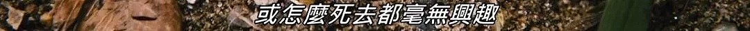 躲在床下偷窥这事儿，只有日本把它搞成了18禁...（组图） - 25