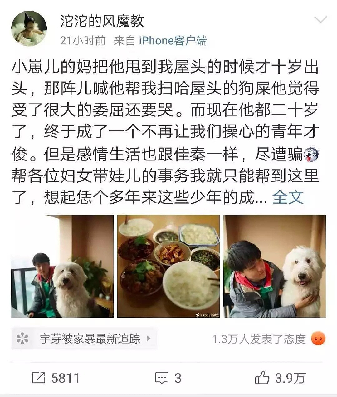 【宠物】“我们也被家暴了…”网红差点被打死，14亿人震怒！可所有人，却忽略了被打到吐血的它们！ - 7