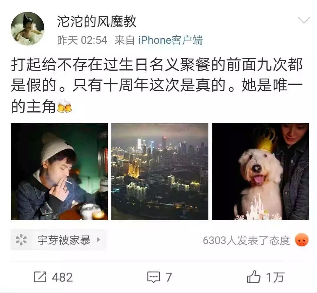 【宠物】“我们也被家暴了…”网红差点被打死，14亿人震怒！可所有人，却忽略了被打到吐血的它们！ - 8