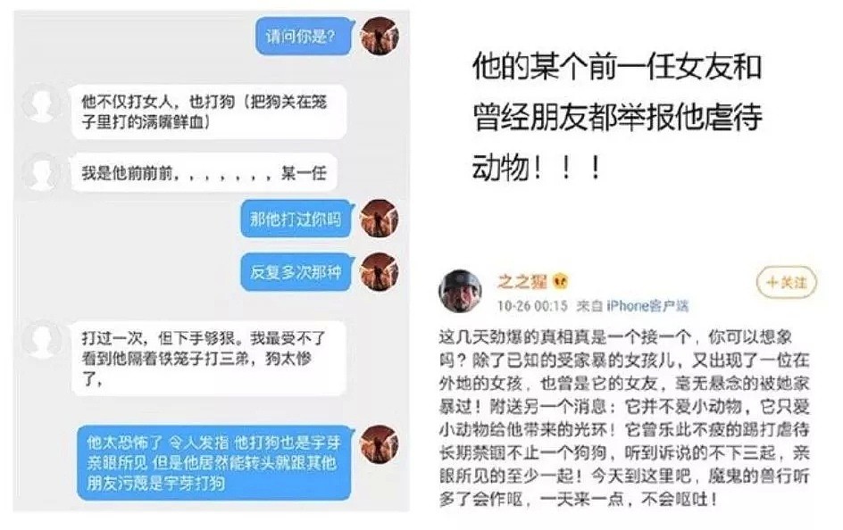 【宠物】“我们也被家暴了…”网红差点被打死，14亿人震怒！可所有人，却忽略了被打到吐血的它们！ - 15