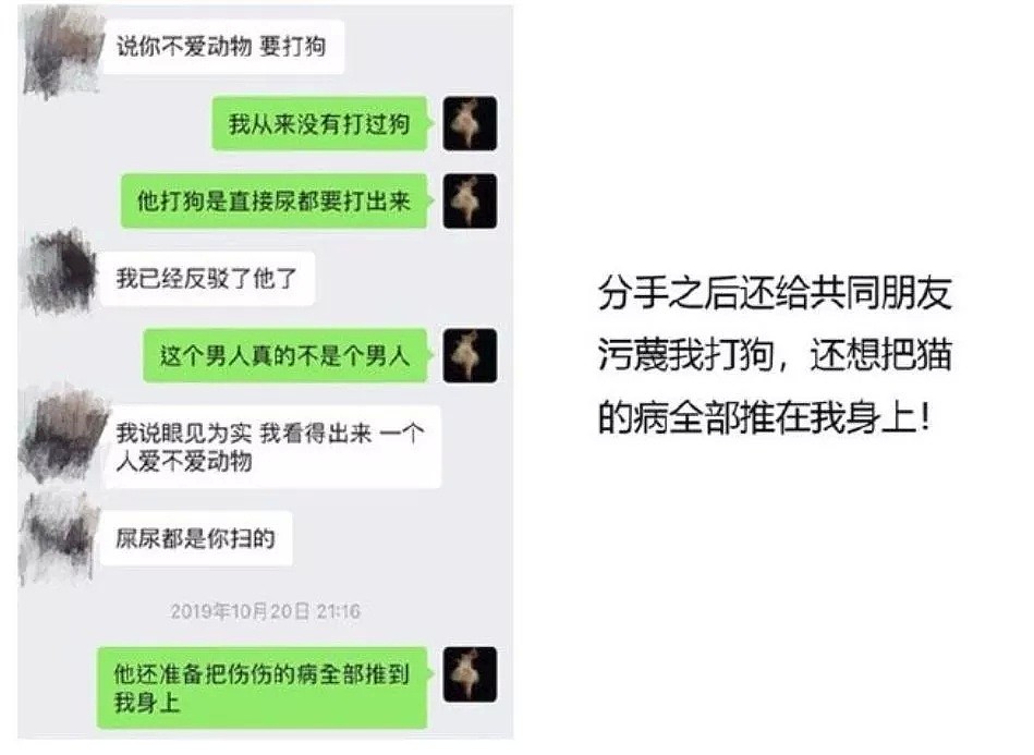 【宠物】“我们也被家暴了…”网红差点被打死，14亿人震怒！可所有人，却忽略了被打到吐血的它们！ - 16