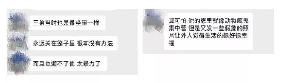 【宠物】“我们也被家暴了…”网红差点被打死，14亿人震怒！可所有人，却忽略了被打到吐血的它们！ - 17