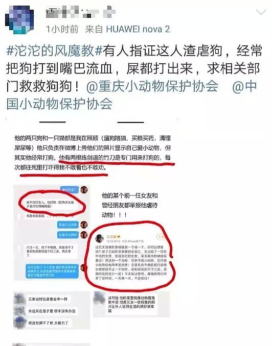 【宠物】“我们也被家暴了…”网红差点被打死，14亿人震怒！可所有人，却忽略了被打到吐血的它们！ - 33