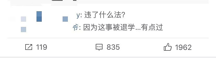 【宠物】“我们也被家暴了…”网红差点被打死，14亿人震怒！可所有人，却忽略了被打到吐血的它们！ - 36