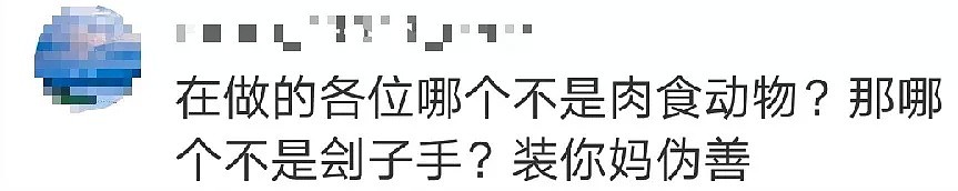 【宠物】“我们也被家暴了…”网红差点被打死，14亿人震怒！可所有人，却忽略了被打到吐血的它们！ - 37