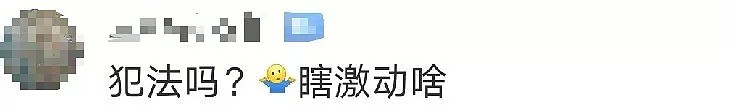 【宠物】“我们也被家暴了…”网红差点被打死，14亿人震怒！可所有人，却忽略了被打到吐血的它们！ - 38