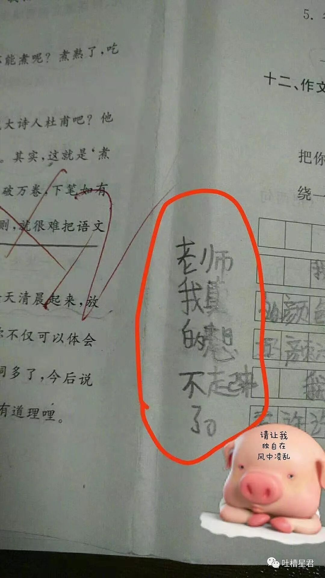 【爆笑】和女朋友定了间主题酒店，结果打开门后崩溃了...哈哈哈哈哈照片xswl！（组图） - 47