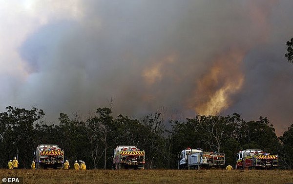 澳穆斯林组织捐款1万澳元，帮助新州山火受灾群众，点赞勇敢消防员（组图） - 3