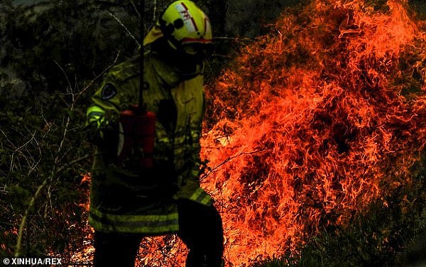 澳穆斯林组织捐款1万澳元，帮助新州山火受灾群众，点赞勇敢消防员（组图） - 4