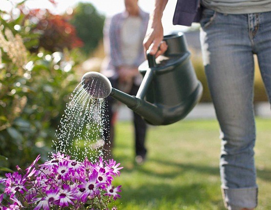person-watering-garden-with-watering-can_eca04bb0ea71978a3d6349f72dc6469b.jpg,0