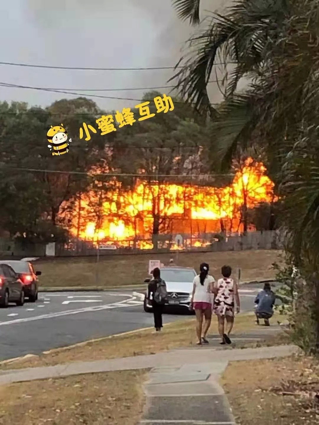 布里斯班连日频发火灾，华人区Sunnybank遭殃，东区一人被活活烧死，竟有人蓄意纵火 - 3