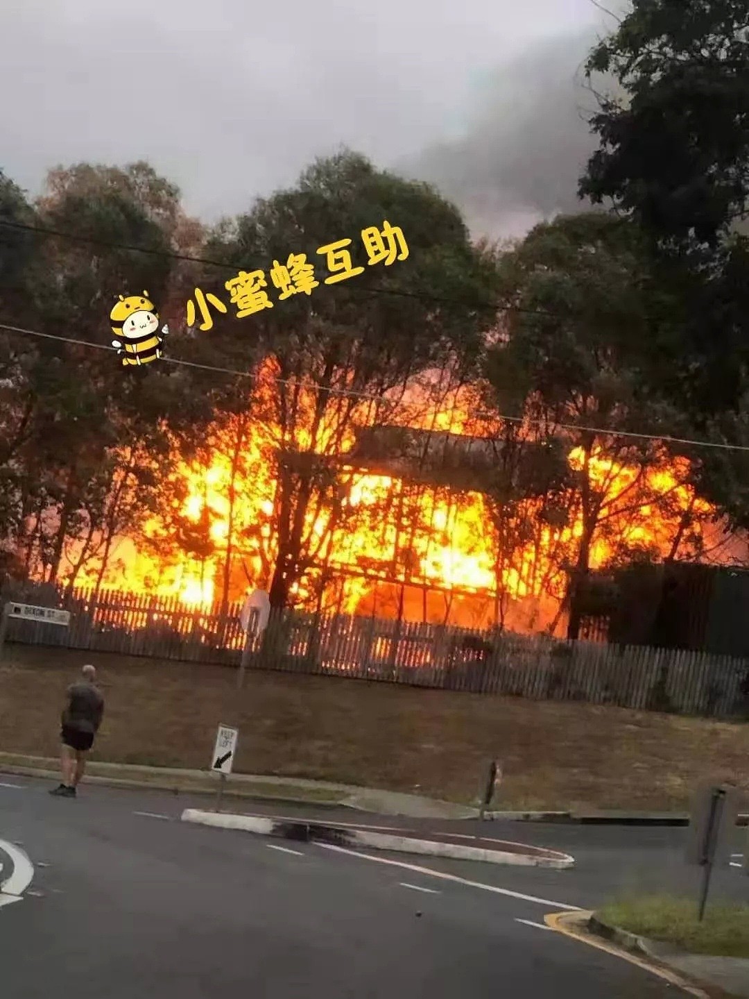 布里斯班连日频发火灾，华人区Sunnybank遭殃，东区一人被活活烧死，竟有人蓄意纵火 - 5