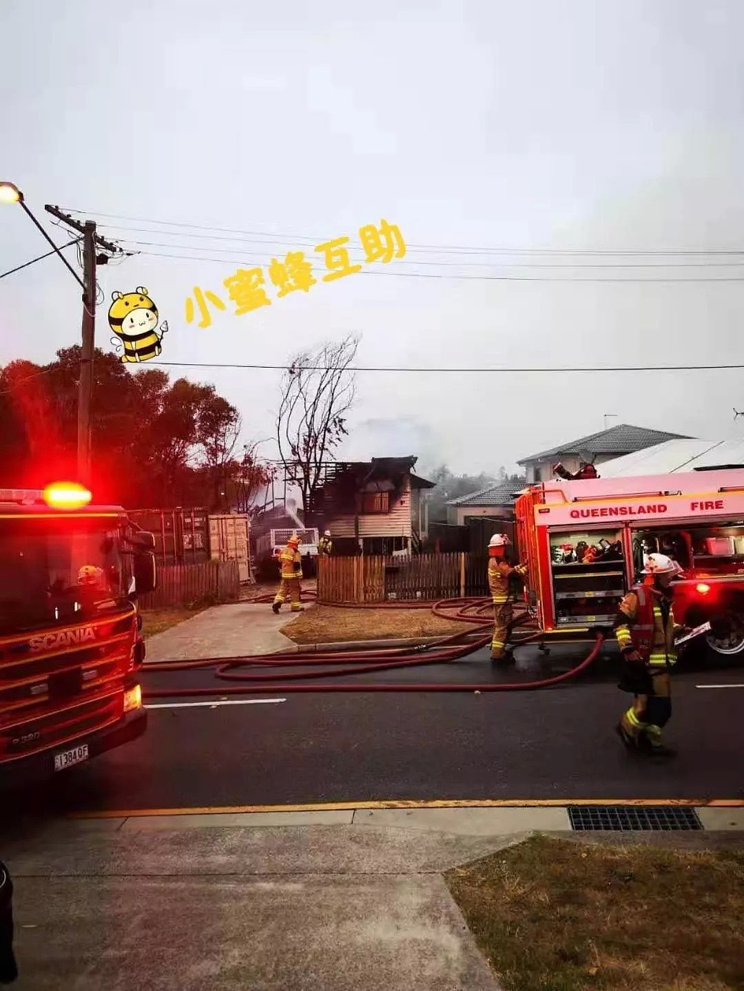 布里斯班连日频发火灾，华人区Sunnybank遭殃，东区一人被活活烧死，竟有人蓄意纵火 - 7