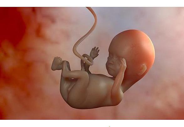 产妇产检做“四维”，胎儿在子宫里“数数”医生：下一个数学天才