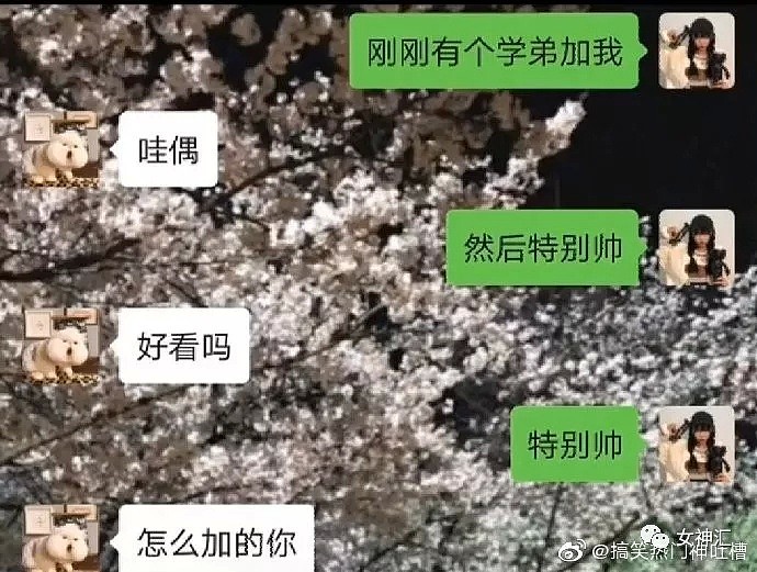 【爆笑】“亲，求求您把照片删了吧 ”哈哈哈买家秀丑到商家连夜倒贴求删帖？（视频/组图） - 4