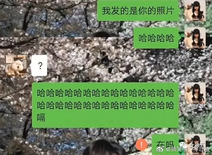 【爆笑】“亲，求求您把照片删了吧 ”哈哈哈买家秀丑到商家连夜倒贴求删帖？（视频/组图） - 8