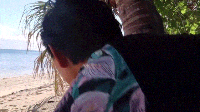 被鲨鱼追杀，在荒岛求生，中国姑娘外网爆火：这样的30岁我也想要（视频/组图） - 16