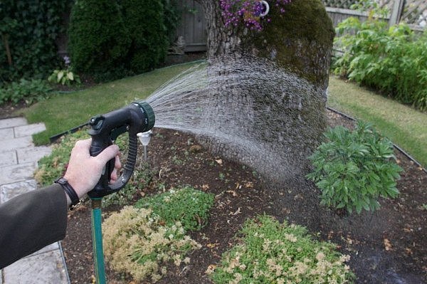 photo-watering-garden.jpg,0