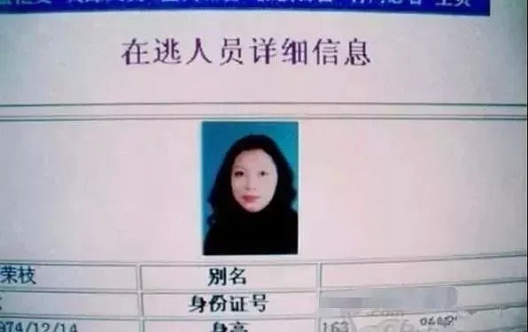 潜逃20年的“蛇蝎美女”落网！身负7条人命，当年枪战视频曝光（视频/组图） - 2